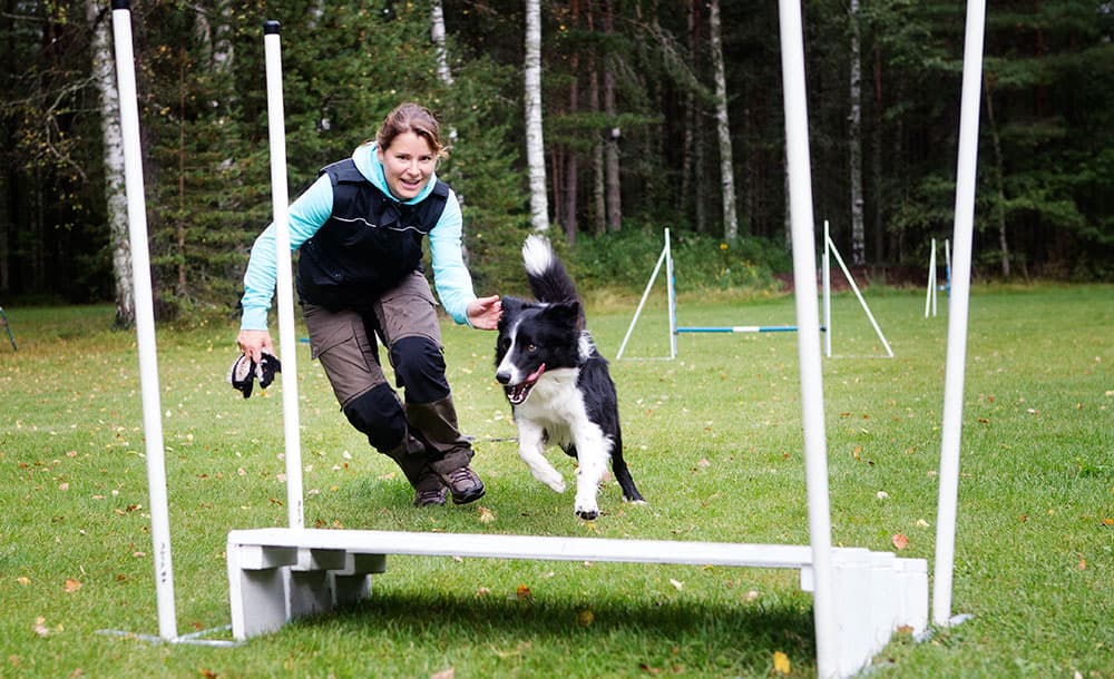 agility
