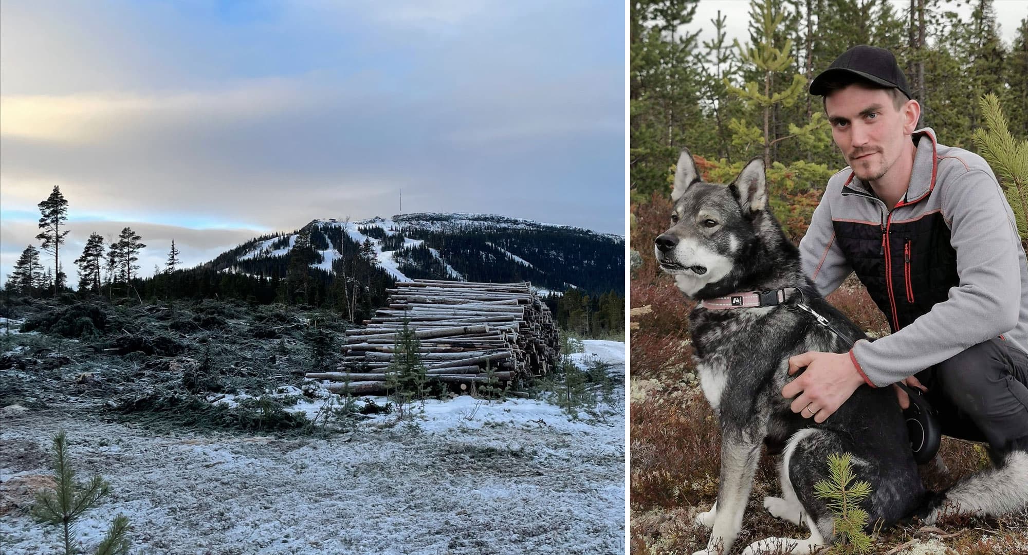 I Härjedalen räddas kommunala projekt genom skogsavverkning – något som skogsmaskinföraren Johan Sundeberg kan allt om. Foto: Privat