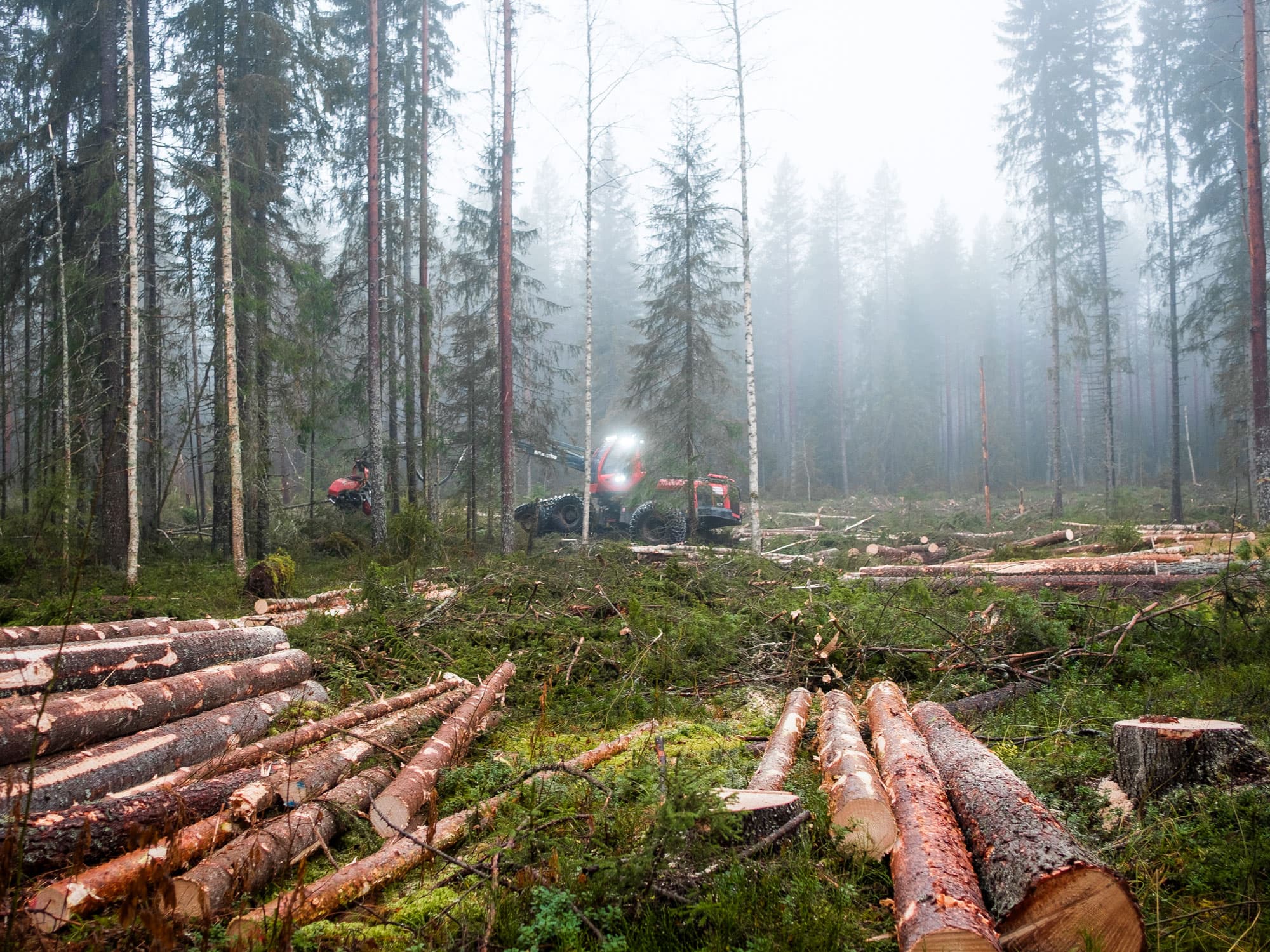 Foto: Hampus Lundin