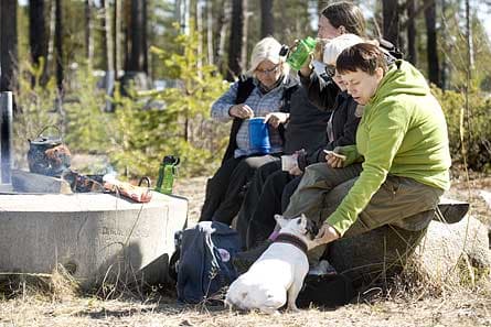 Agneta Björkén, i grön tröja, äter lunch tillsammans med sina klasskamrater på Jämtön norr om Luleå. Foto: TOMAS BERGMAN