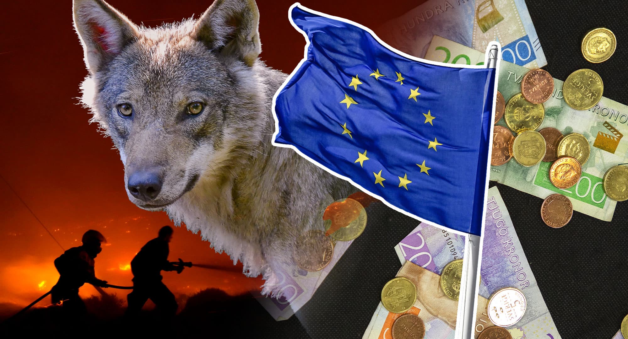 Snart är det dags att rösta i EU-valet. DA lyfter sju viktiga frågor för 2024. Foto: TT (arkiv).