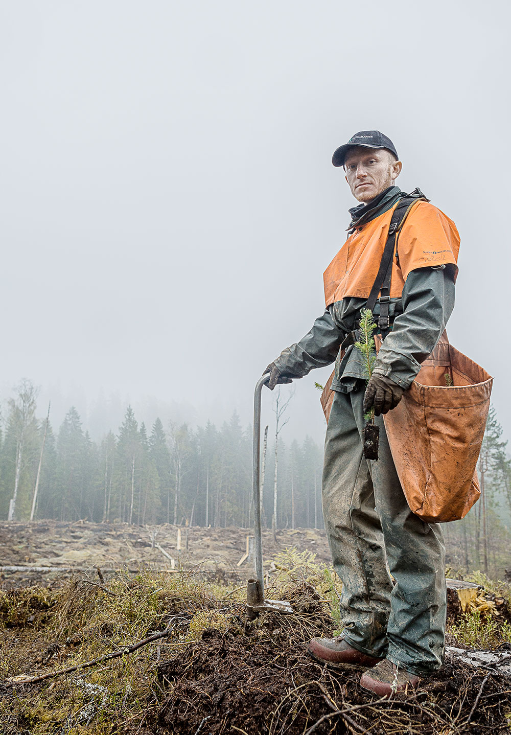 Pawel Korlaga. 97 procent av röjarna på Sundins skog återvänder år från år. Bland planterarna är det 70 procent. Som mest är 230 anställda, varav 10 fast. Foto David Lundmark.
