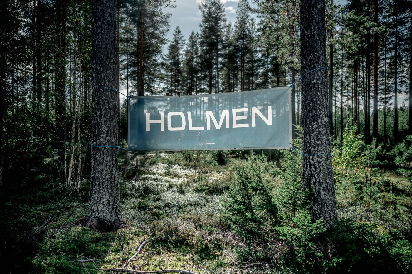 Älgjakt. Foto: David Lundmark.