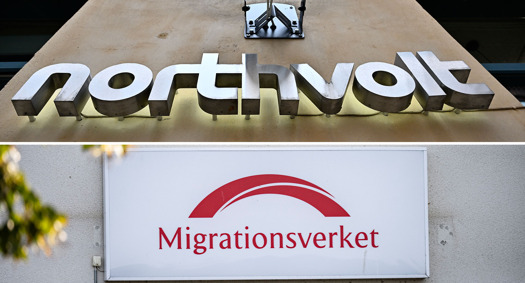 1 600 personer. Så många är de anställda på Northvolt vars öden nu svävar i ovisshet – eftersom de befinner sig i Sverige med arbetsvisum. Foto: TT