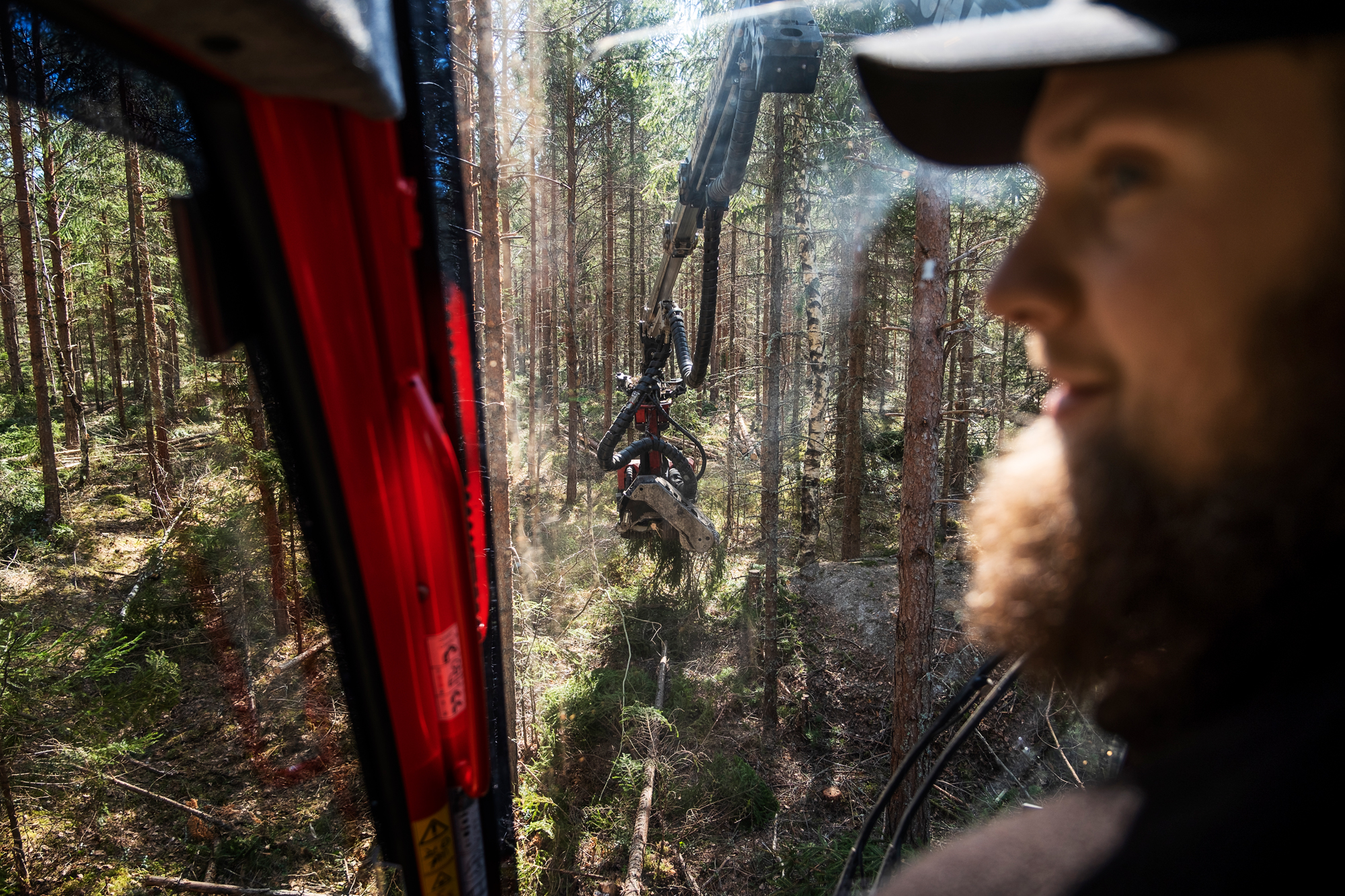 Martin Jildestad i sin skogsmaskin. Foto: Ida Persson