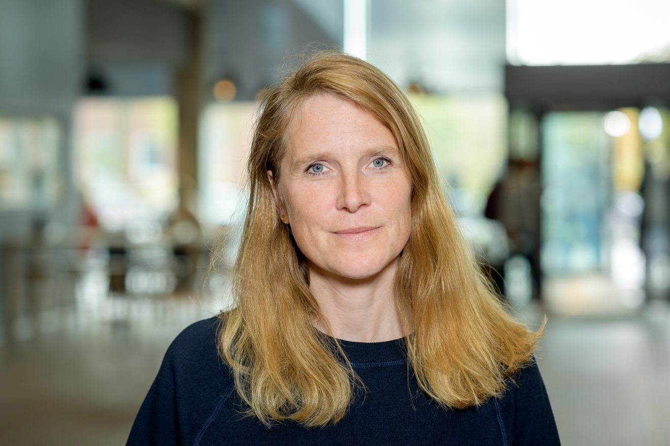 Karin Broberg, professor i arbets- och miljömedicin vid Lunds universitet. Foto: LU /Ruona