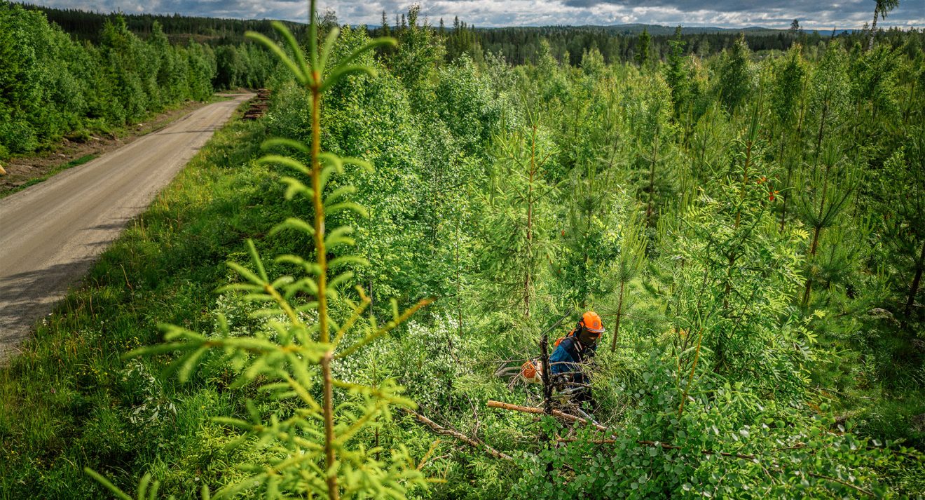 Foto: David Lundmark