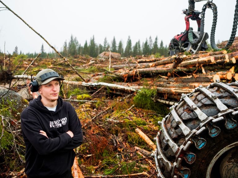 Skogsmaskinförare vid kalhygge i svenska skogarna. Foto: Hampus Lundin