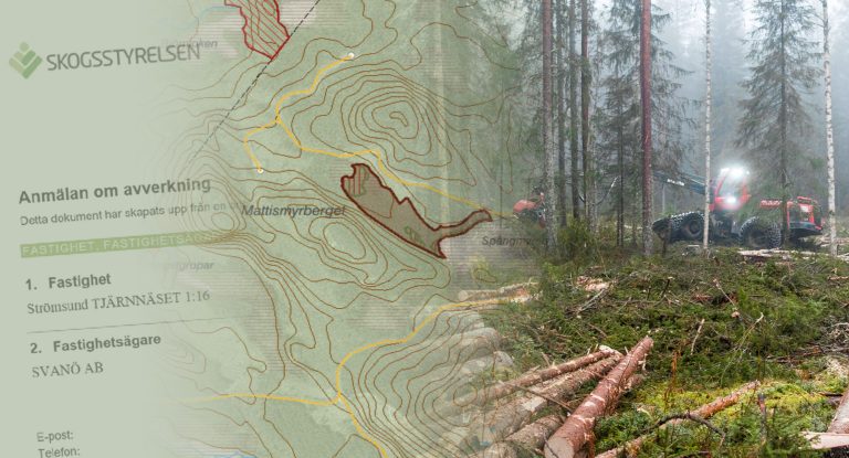 Foto: Hampus Lundin/Skogsstyrelsen