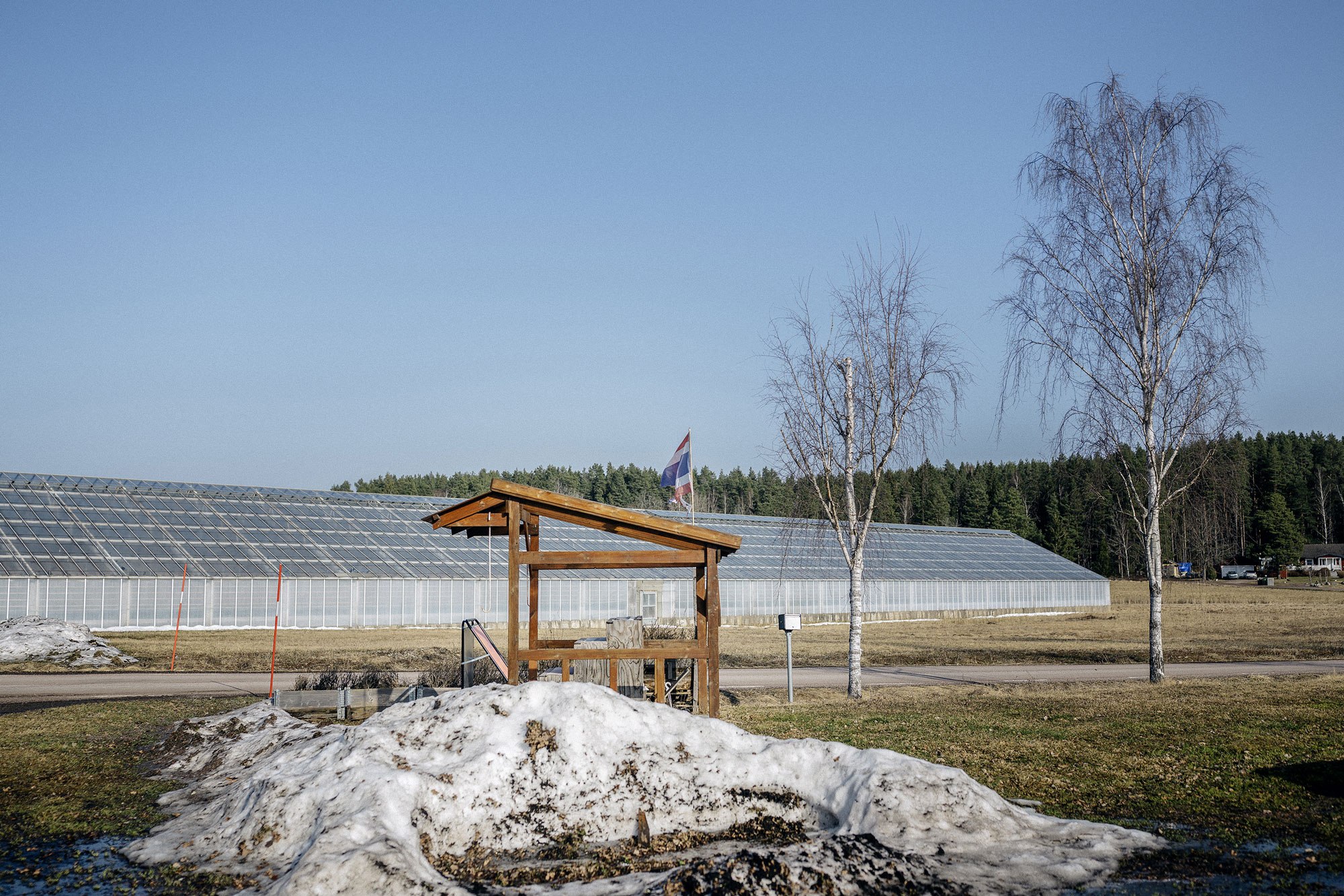 Till den här gården i Köping kom thailändarna i april 2023. Kontoret som arbetarna fick bo i låg bland växthusen. Foto: David Lundmark