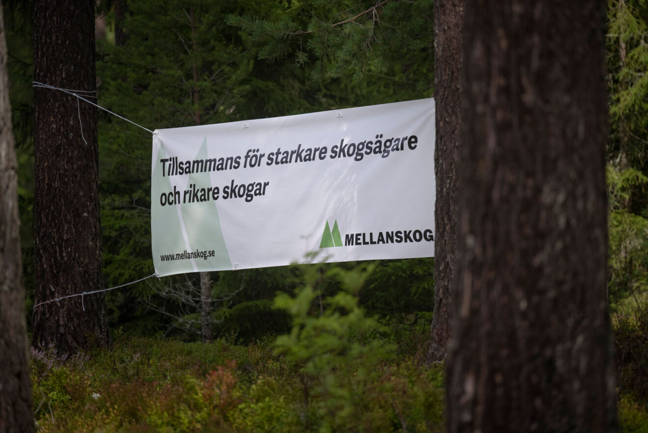 Foto: TT Nyhetsbyrån