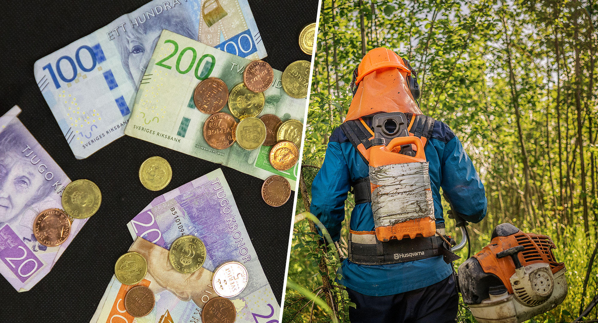 Foto: TT & David Lundmark