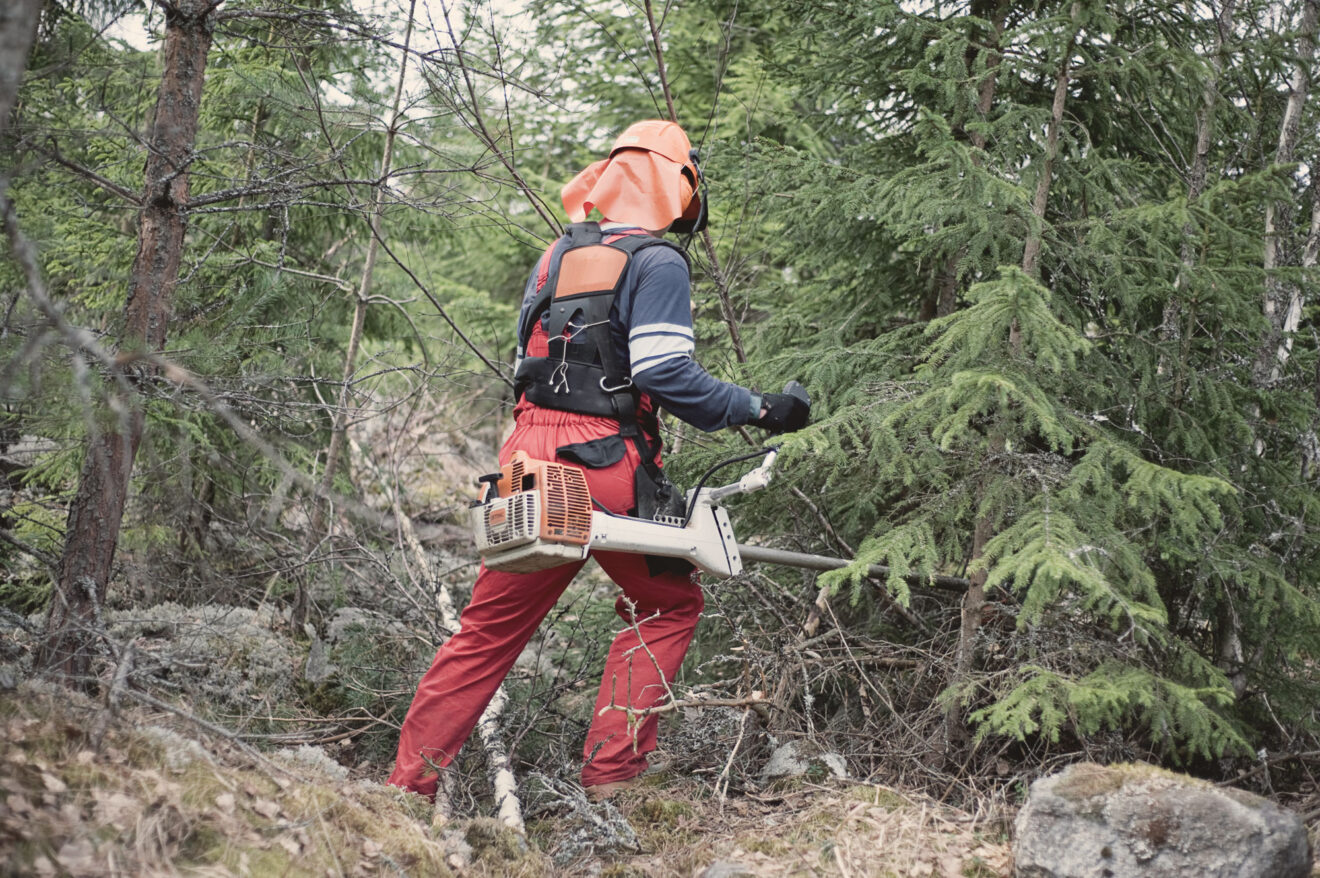 Skogsvårdare i Sverige. Foto: Johann Selles