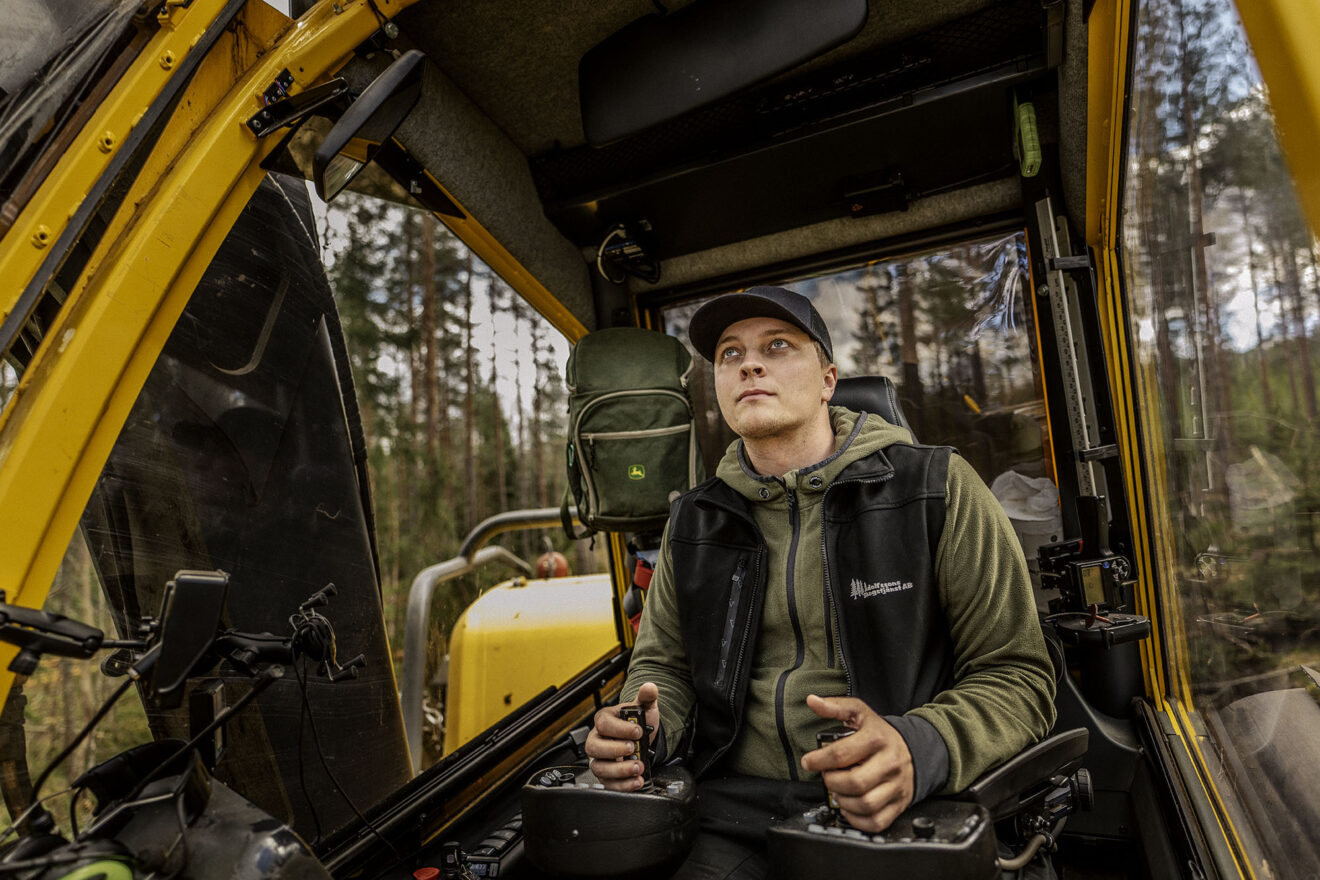 Nu kommer skadeinsekterna – Albin, 24, försöker rädda virket