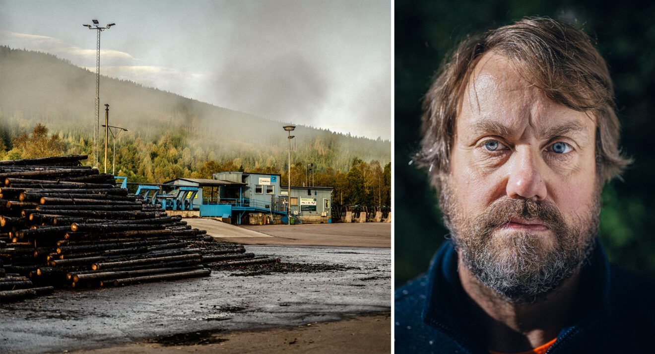 Efter ett halvår som arbetslös: ”Självbilden blir så mycket bättre när man har ett jobb” 