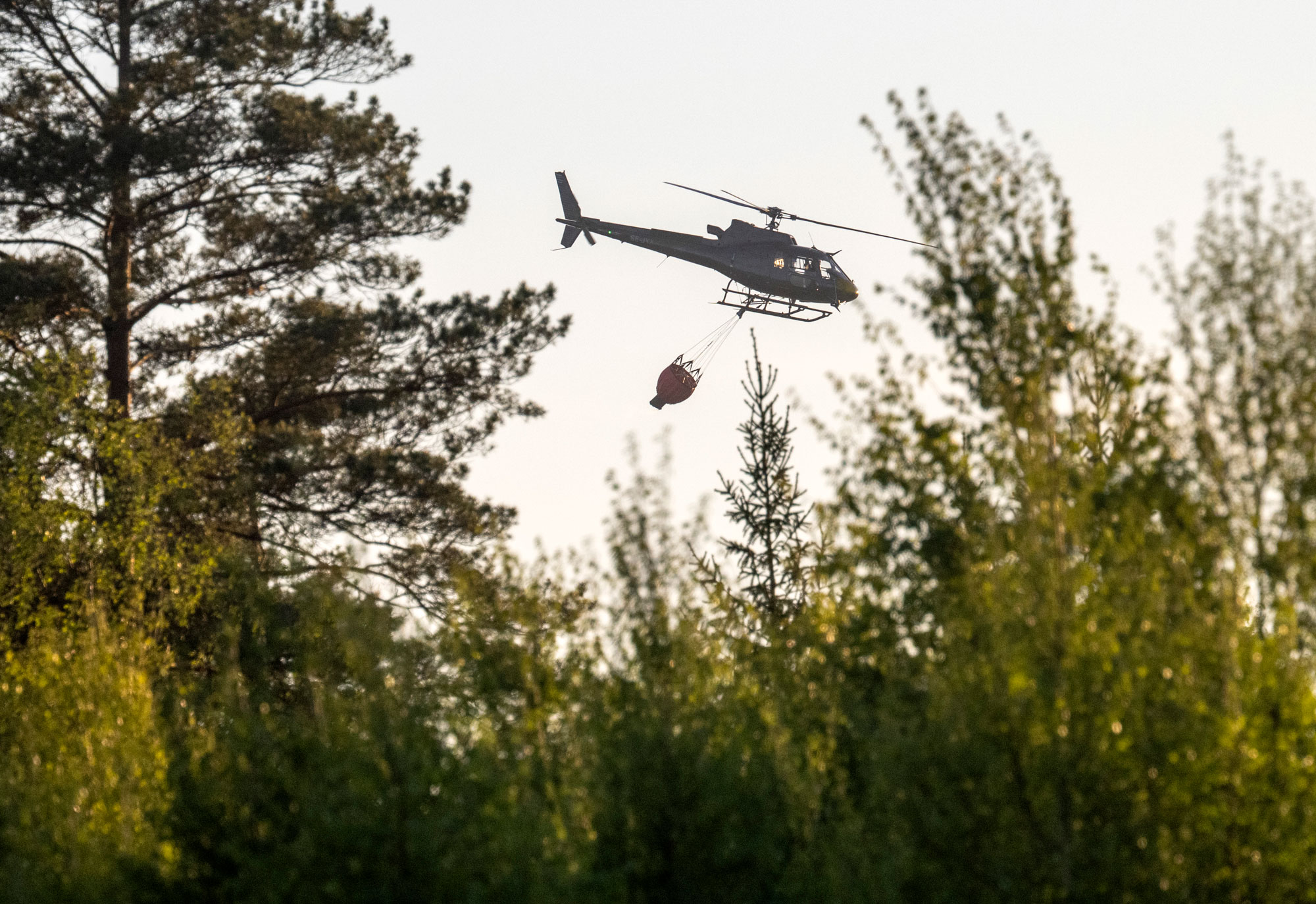 För att släcka vissa skogsbränder krävs vattenbombning. Foto: TT (genrebild)