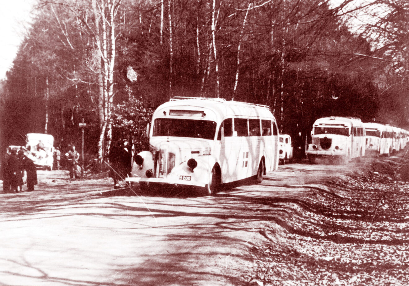 Våren 1945. Josef Larsson evakuerades från fångenskapen med de vida bussarna. Foto: TT Nyhetsbyrån