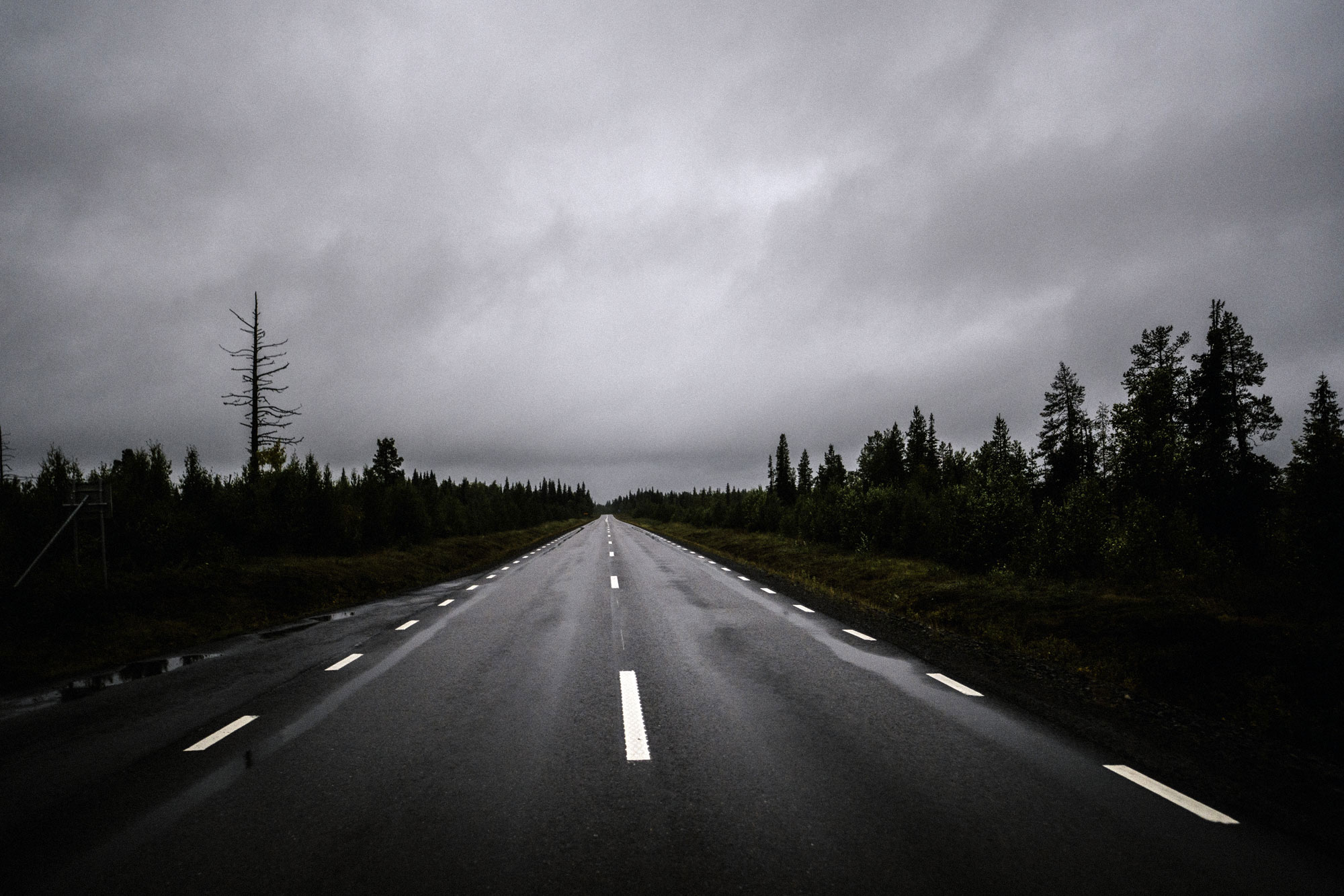 Här, längst E10:an mot Gällivare, har LKAB fått tillstånd att dundra fram med 80 lastbilar per dygn. Foto: David Lundmark