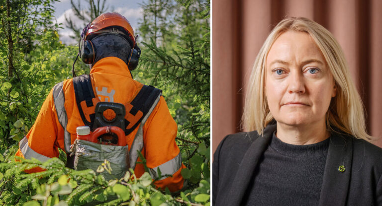 Efter granskning: GS vill utreda tvångsarbete