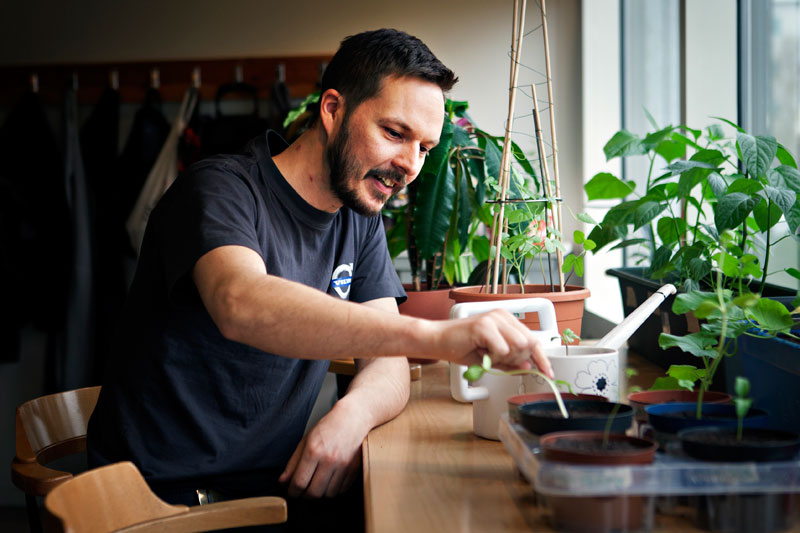 Under lunchrastens 38 minuter hinner Ted Sjölund både äta och pyssla om plantorna i fönstret. Jorden i den späda solrosplantans kruka verkar vara lagom fuktig. Foto: Rebecka Uhlin