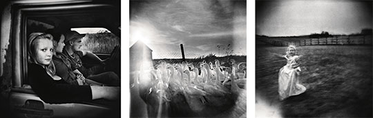 Bilder från Martin Bogrens "Lowlands". Foto: Martin Bogren