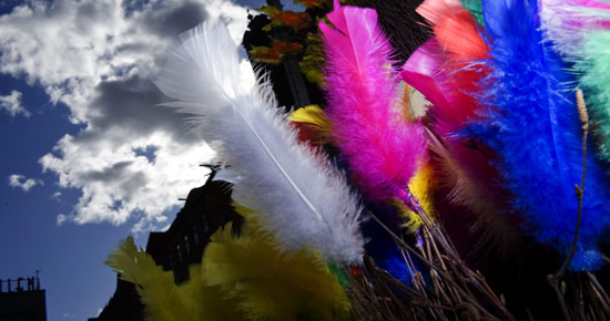 Foto: TT Nyhetsbyrån